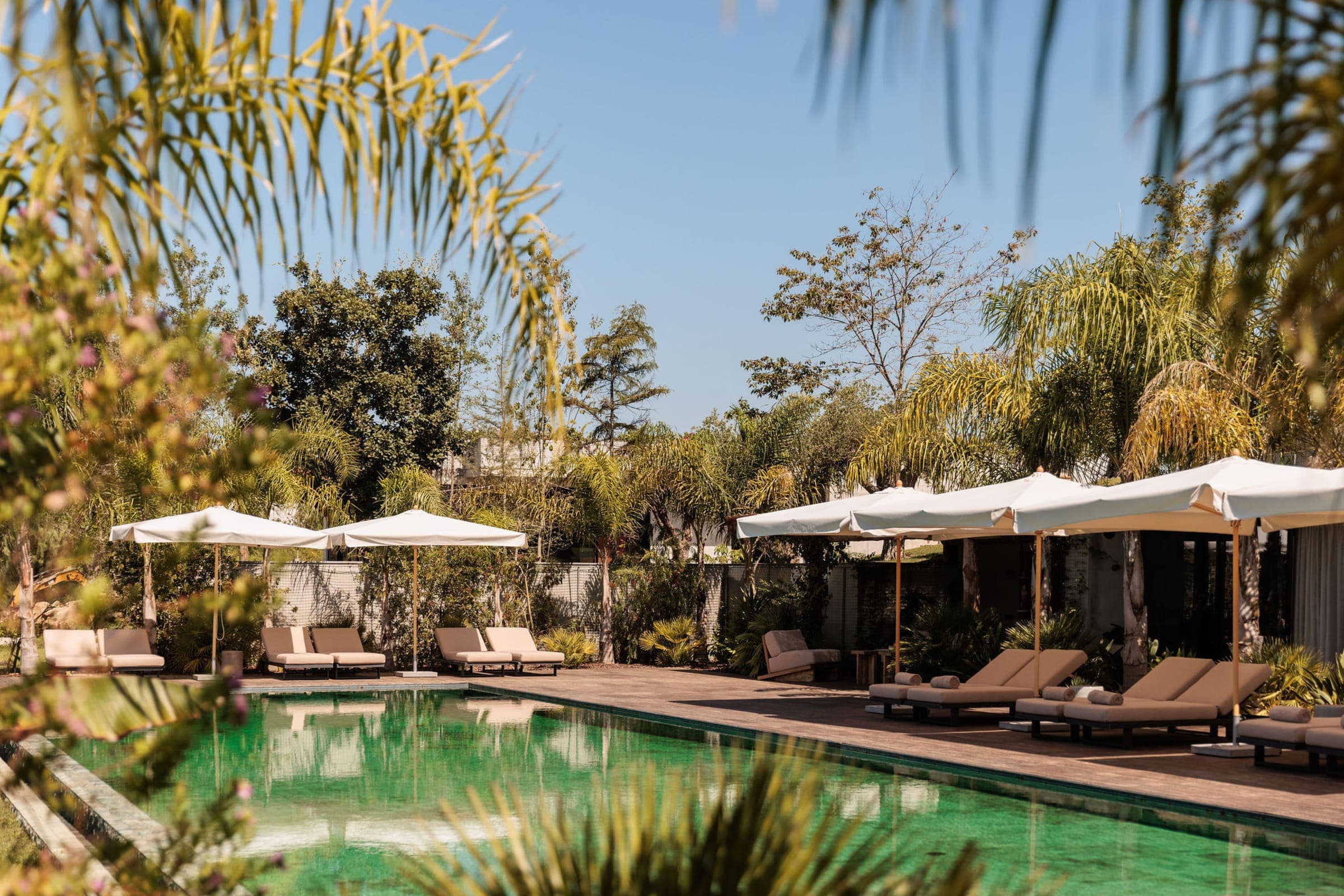 The pool at Quinta Filippa, below the treeline